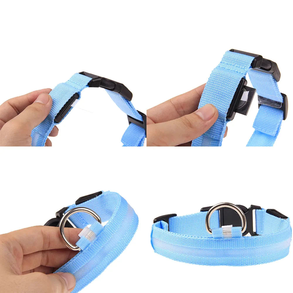 Illuminate Your Pet's Safety: Adjustable LED Light-Up Dog Collar - Waterproof & Flashing!