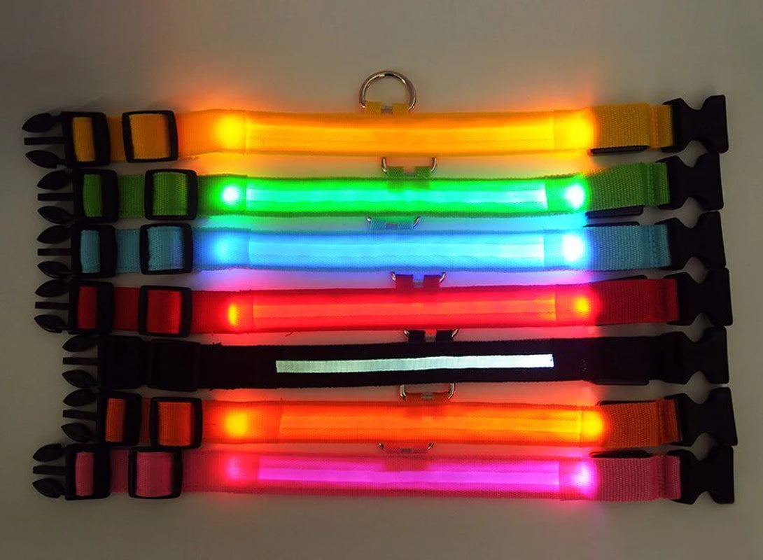 Illuminate Your Pet's Safety: Adjustable LED Light-Up Dog Collar - Waterproof & Flashing!