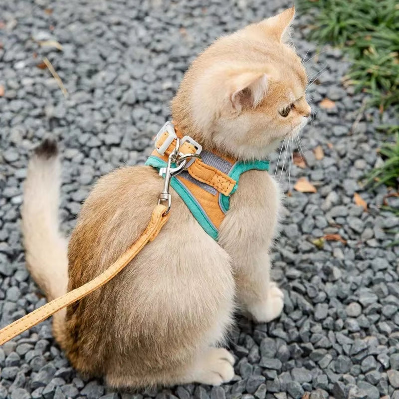 Premium Cat and Dog Harness Leash Set - Perfect for Chihuahuas and Pugs - Ideal Walking Accessories!