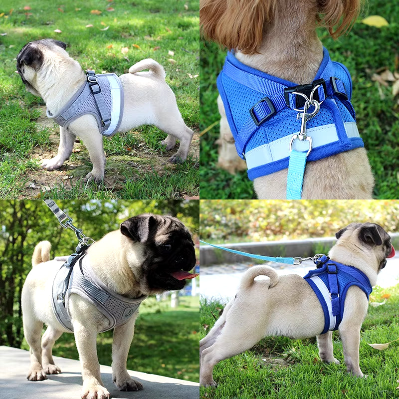 Pooch Parade Suit: The Dazzle-A-Bark Harness that Shouts "Paw-some Fashionista!" While Snuggling Your Furry Sidekick!