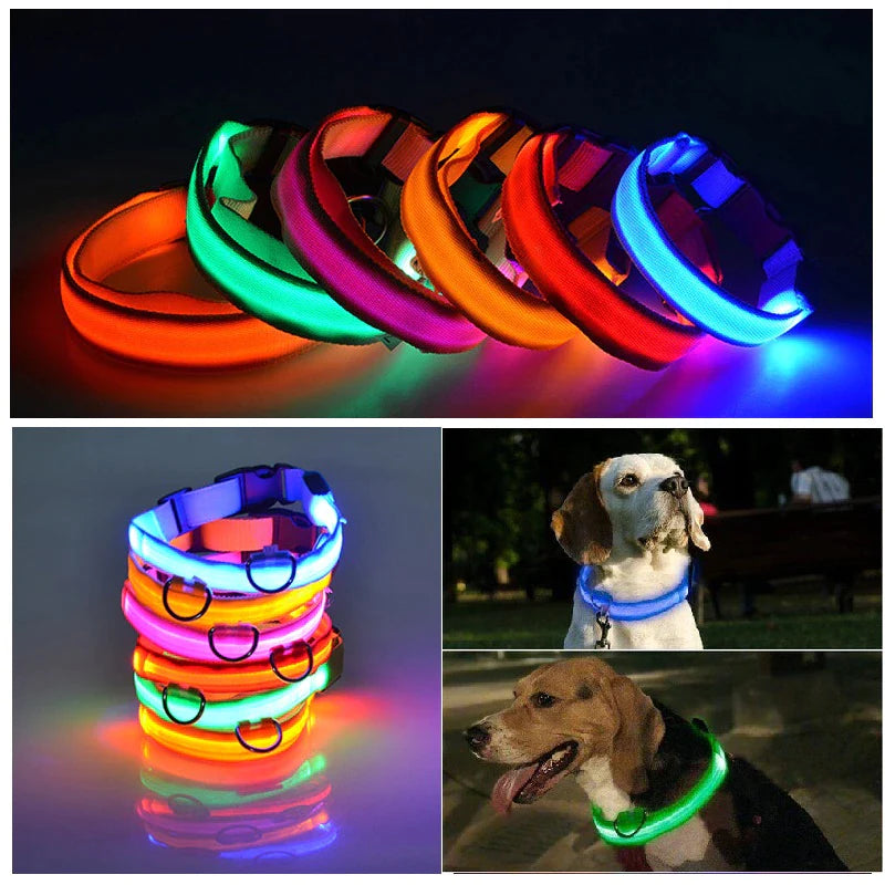 Illuminate Your Pet's Safety: Adjustable LED Light-Up Dog Collar - Waterproof & Flashing!