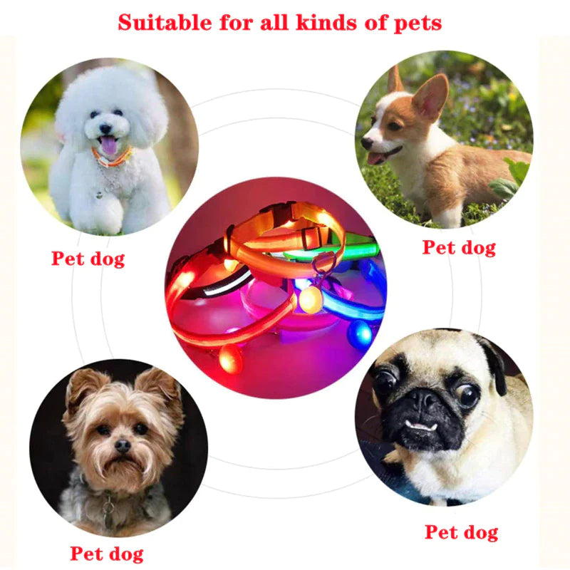 Illuminate Your Pet's Safety: Adjustable LED Light-Up Dog Collar - Waterproof & Flashing!