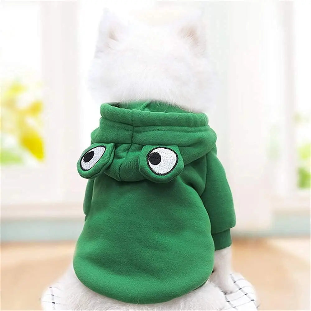 Leap into Spooktacular Style with this Quirky Frog-fabulous Look for Your Furry Sidekick!