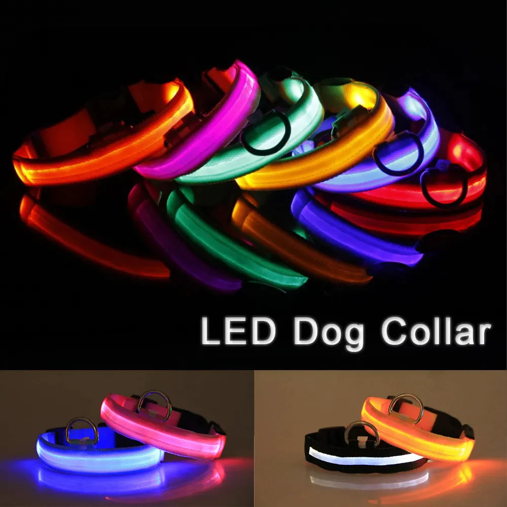 Illuminate Your Pet's Safety: Adjustable LED Light-Up Dog Collar - Waterproof & Flashing!