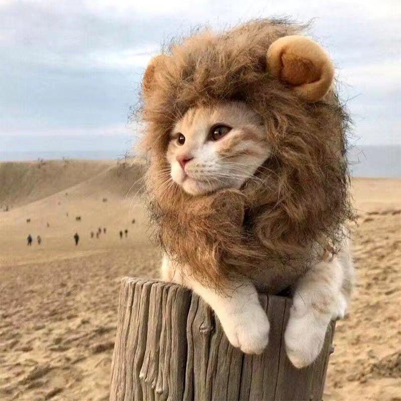 Adorable Lion Mane Wig for Cats and Small Dogs - Perfect Costume Accessory for Fun Cosplay and Dress-Up!