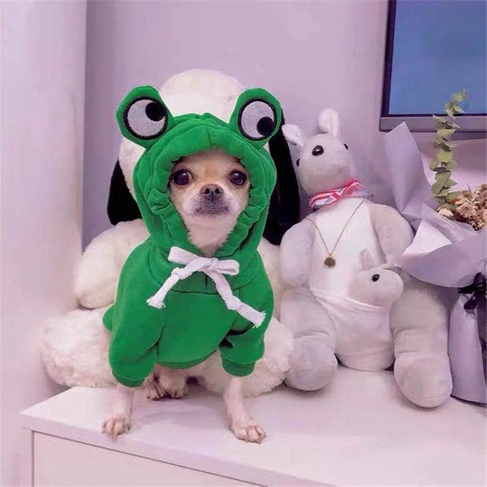 Leap into Spooktacular Style with this Quirky Frog-fabulous Look for Your Furry Sidekick!