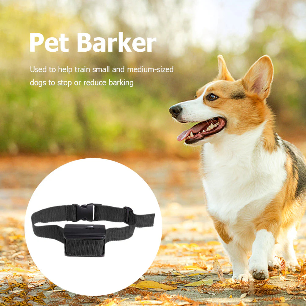 Bark-Off 3000: The Collar That Tells Your Dog to "Shut It!" in Every Size