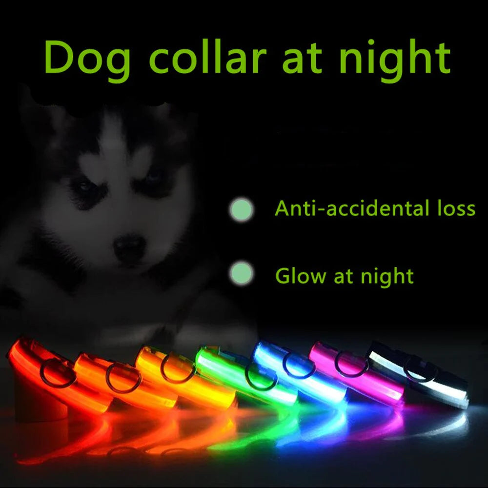 Illuminate Your Pet's Safety: Adjustable LED Light-Up Dog Collar - Waterproof & Flashing!