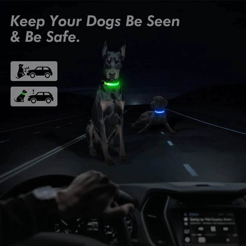 Illuminate Your Pet's Safety: Adjustable LED Light-Up Dog Collar - Waterproof & Flashing!