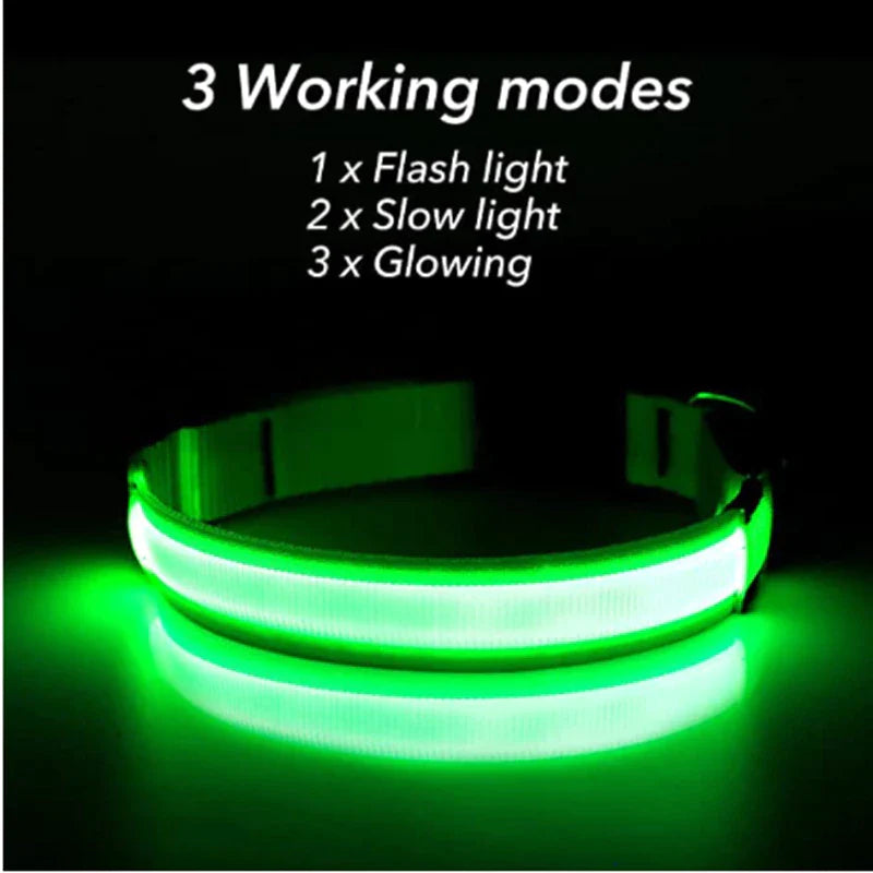 Illuminate Your Pet's Safety: Adjustable LED Light-Up Dog Collar - Waterproof & Flashing!