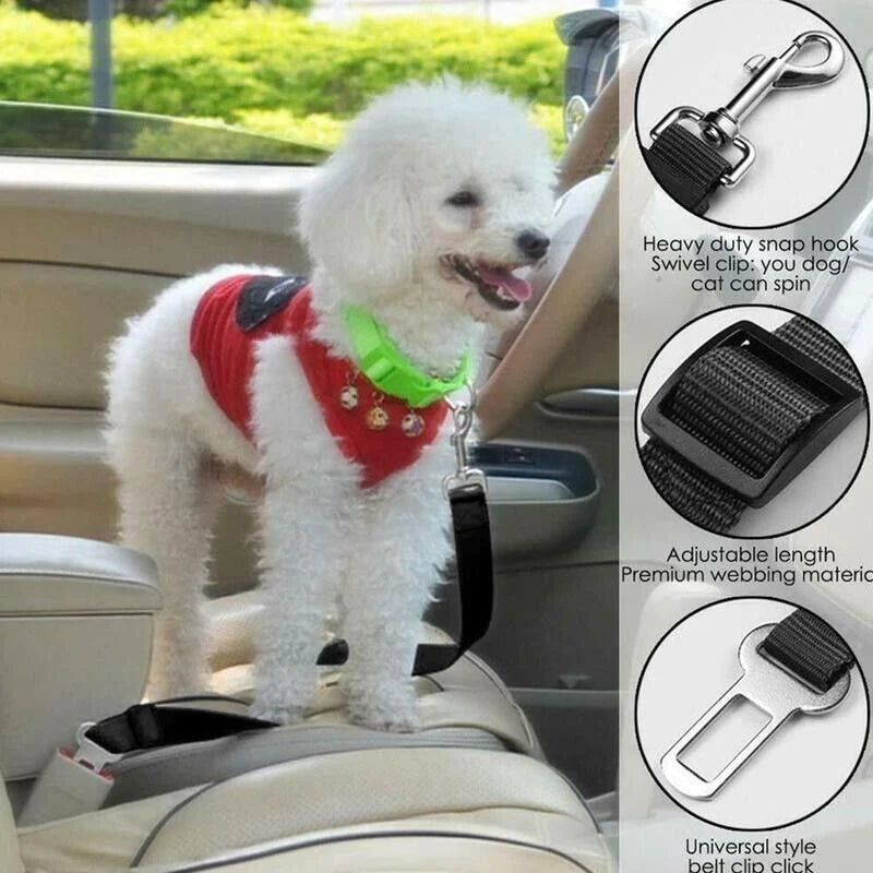 “Paw-some 2-Pack Pet Seatbelts: Because Your Furry Friend Deserves a Safety Belt Too!”