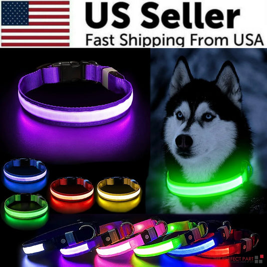 Illuminate Your Pet's Safety: Adjustable LED Light-Up Dog Collar - Waterproof & Flashing!