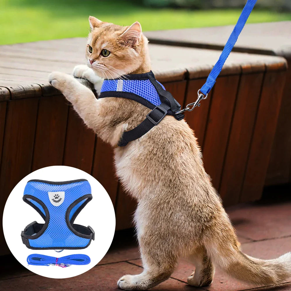 Fashionable Fido & Purrfect Kitty Adventure Gear: The Harness That Grows with Your Furball (Leash Included for the Great Escape!)