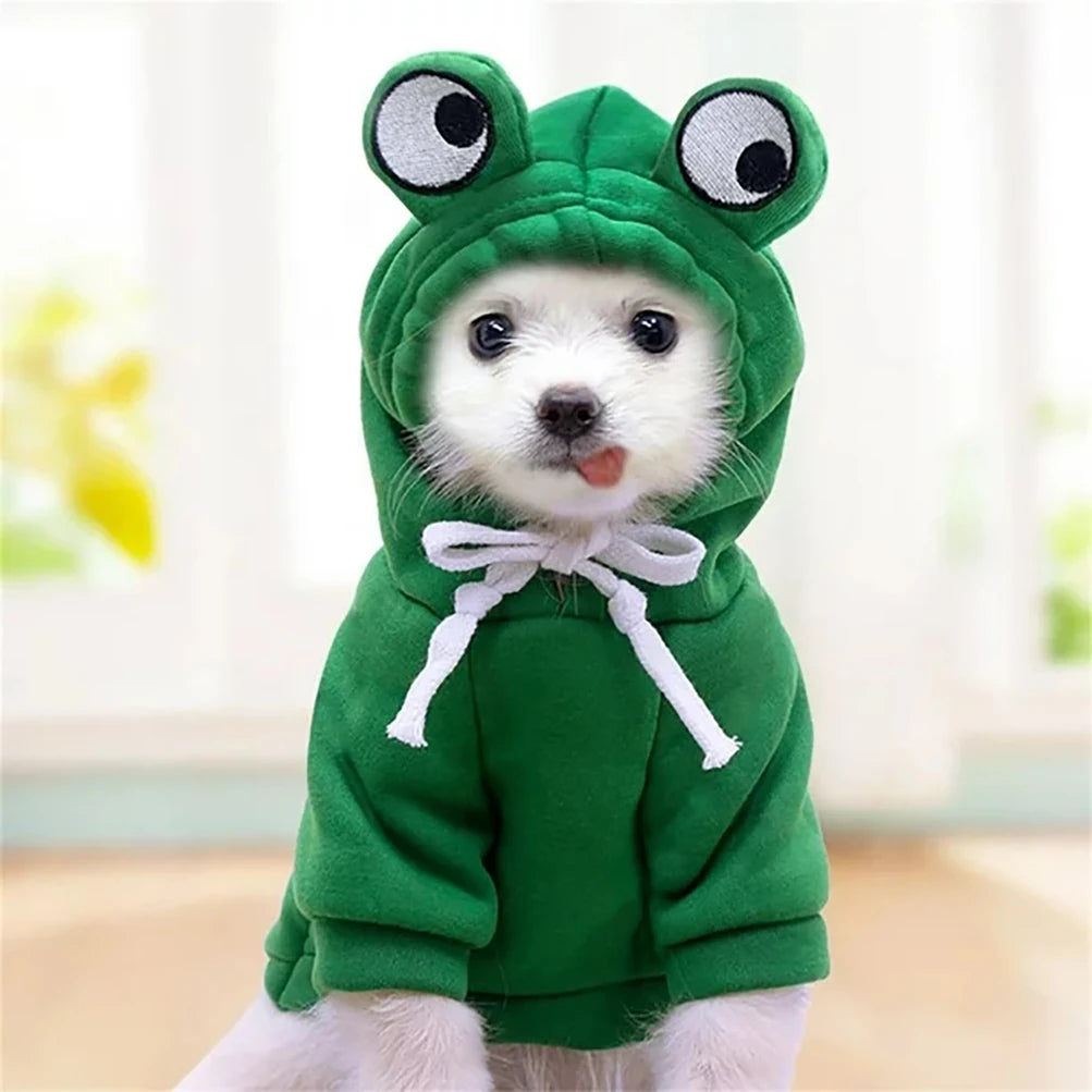 Leap into Spooktacular Style with this Quirky Frog-fabulous Look for Your Furry Sidekick!