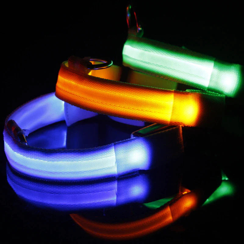 Illuminate Your Pet's Safety: Adjustable LED Light-Up Dog Collar - Waterproof & Flashing!