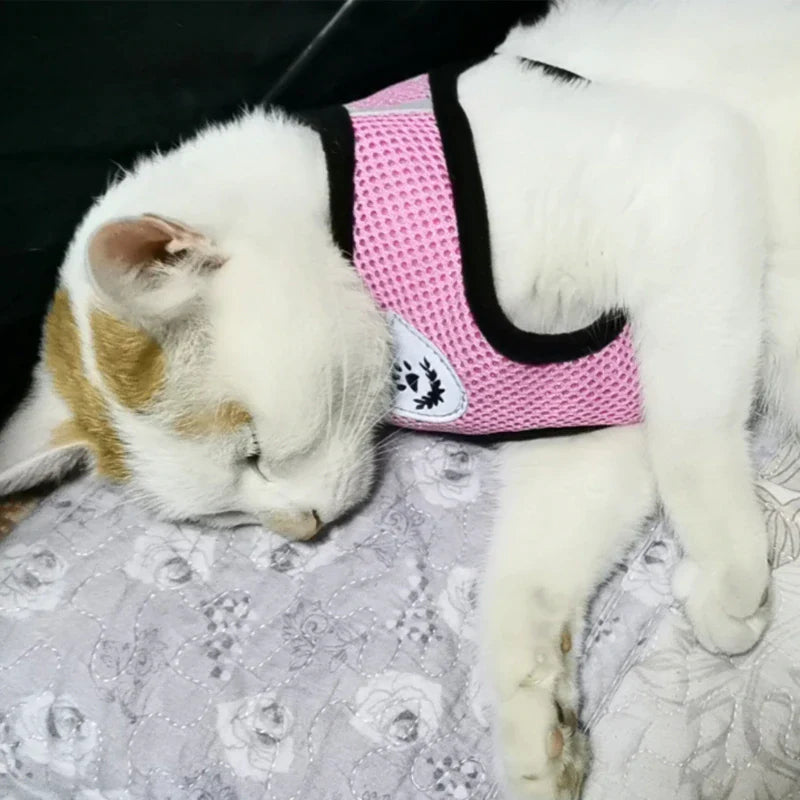 Fashionable Fido & Purrfect Kitty Adventure Gear: The Harness That Grows with Your Furball (Leash Included for the Great Escape!)