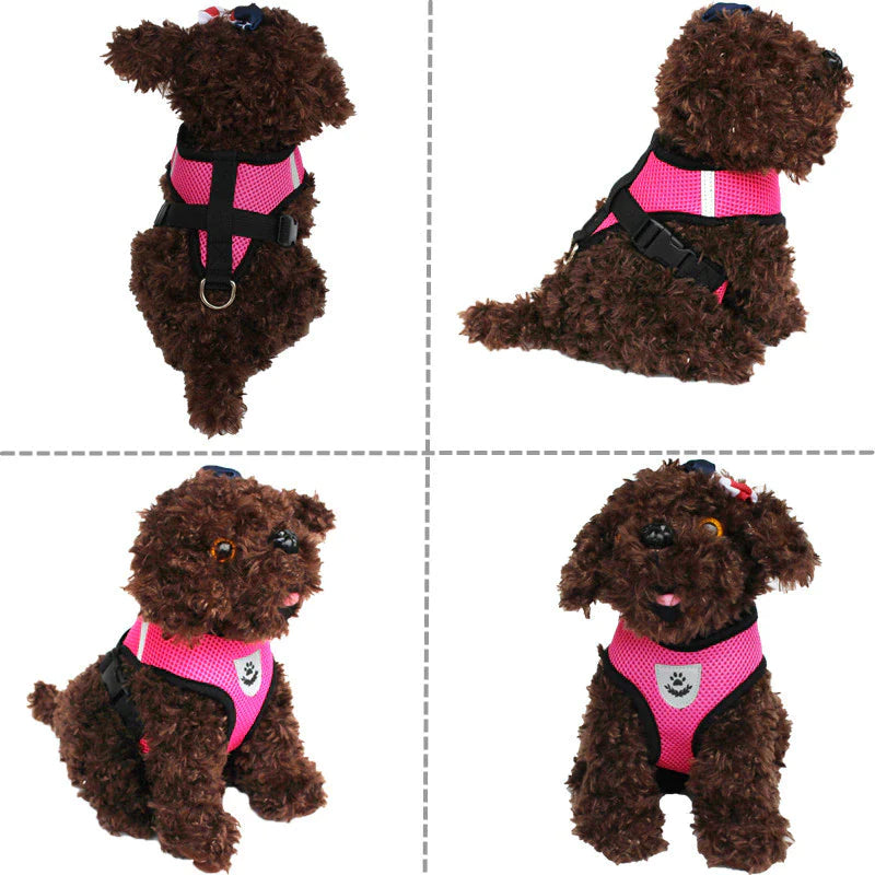 Fashionable Fido & Purrfect Kitty Adventure Gear: The Harness That Grows with Your Furball (Leash Included for the Great Escape!)