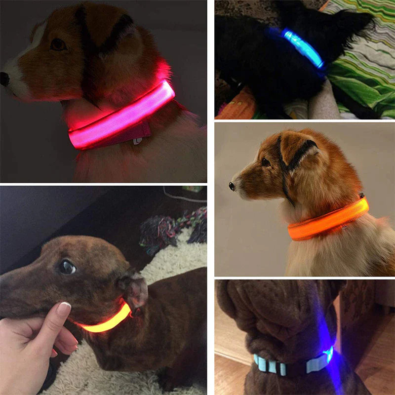 Illuminate Your Pet's Safety: Adjustable LED Light-Up Dog Collar - Waterproof & Flashing!