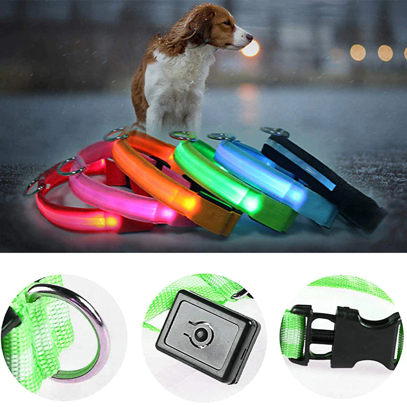 Illuminate Your Pet's Safety: Adjustable LED Light-Up Dog Collar - Waterproof & Flashing!