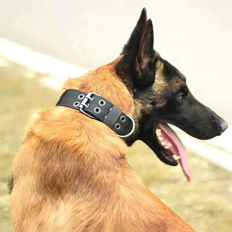 Heavy Duty 2" Wide Tactical Nylon Dog Collar for Large Breeds - K9 Military Style with Durable Metal Buckle