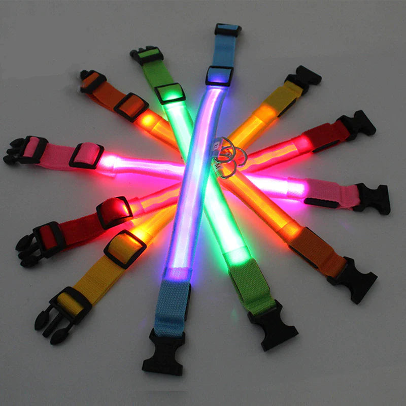 Illuminate Your Pet's Safety: Adjustable LED Light-Up Dog Collar - Waterproof & Flashing!