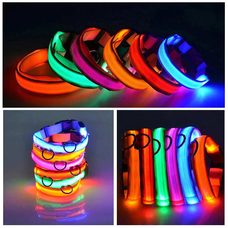 Illuminate Your Pet's Safety: Adjustable LED Light-Up Dog Collar - Waterproof & Flashing!