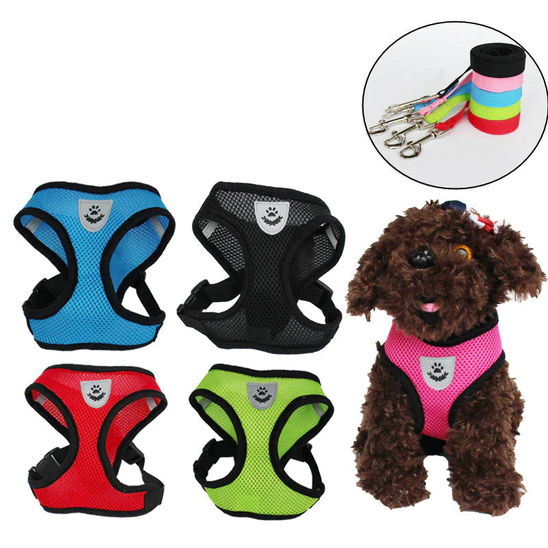 Fashionable Fido & Purrfect Kitty Adventure Gear: The Harness That Grows with Your Furball (Leash Included for the Great Escape!)