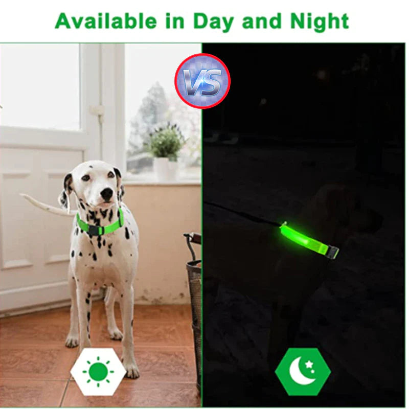 Illuminate Your Pet's Safety: Adjustable LED Light-Up Dog Collar - Waterproof & Flashing!