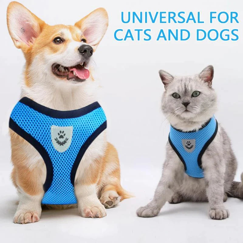 Fashionable Fido & Purrfect Kitty Adventure Gear: The Harness That Grows with Your Furball (Leash Included for the Great Escape!)