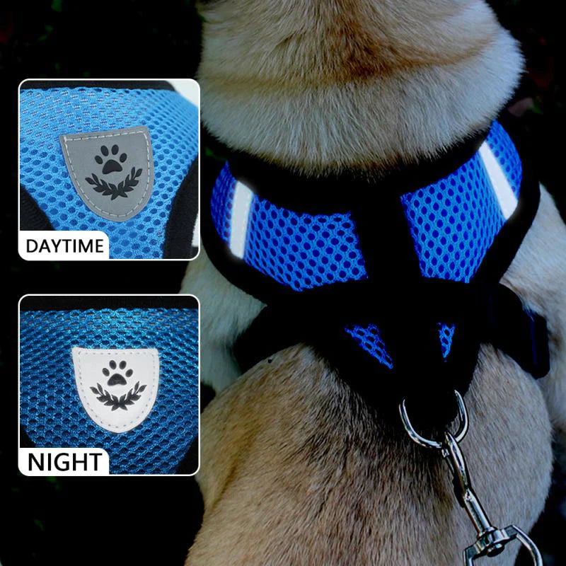 Fashionable Fido & Purrfect Kitty Adventure Gear: The Harness That Grows with Your Furball (Leash Included for the Great Escape!)