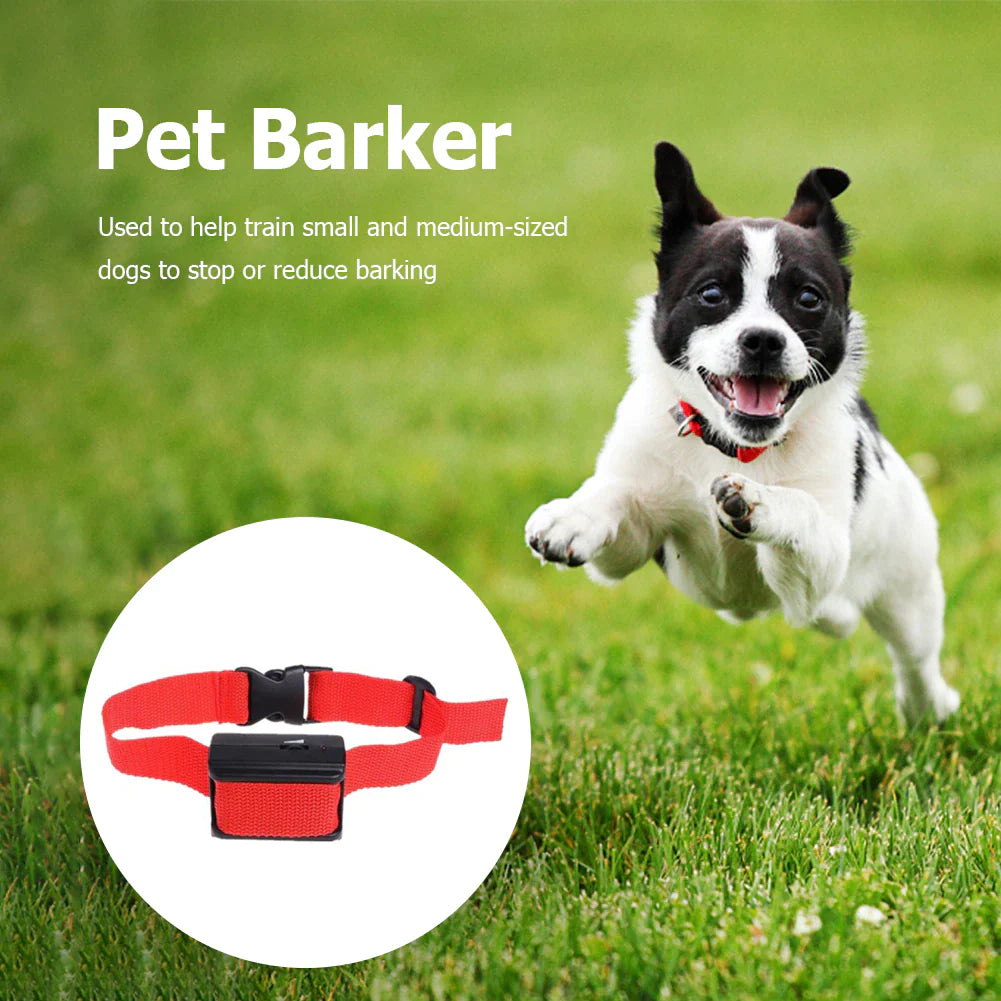 Bark-Off 3000: The Collar That Tells Your Dog to "Shut It!" in Every Size