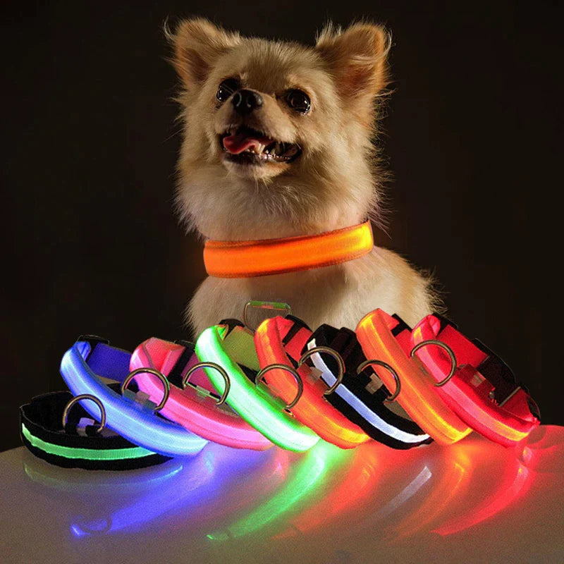 Illuminate Your Pet's Safety: Adjustable LED Light-Up Dog Collar - Waterproof & Flashing!